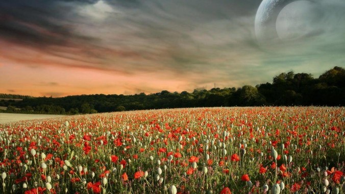 香港特首林郑月娥：不容忍任何“港独”言行